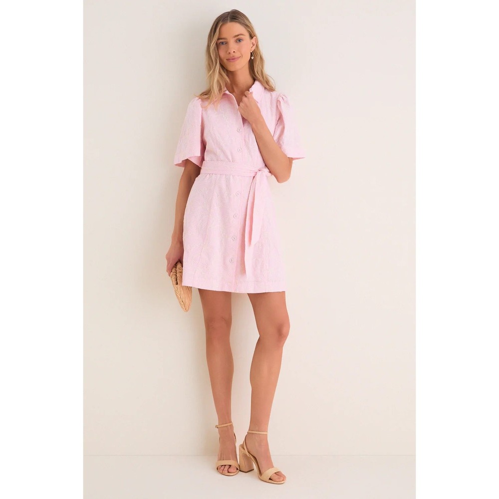NWT Tuckernuck Hyacinth House Pink Embroidered Gingko Leaf Peppa Mini Dress L - Picture 3 of 11